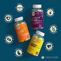 Kit Trio Sabores estarmais